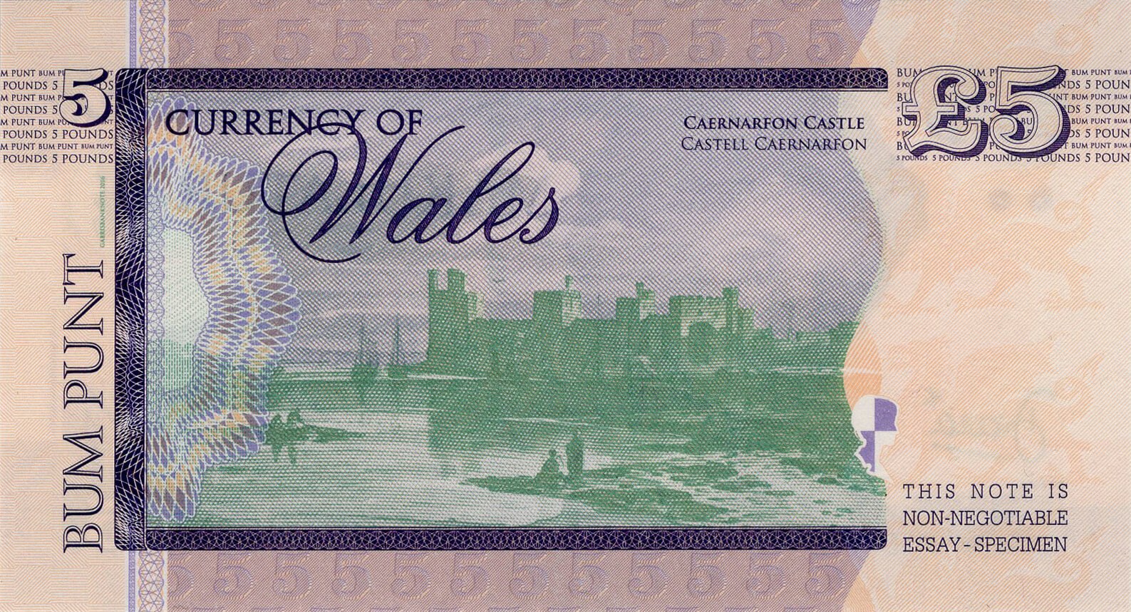 5 pounds Wales Diana - zadní strana