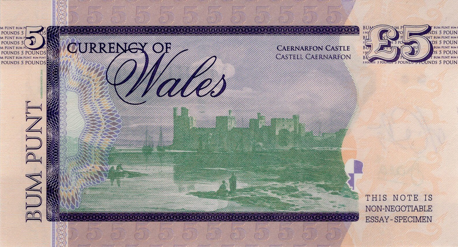 5 pounds Wales Diana - zadní strana