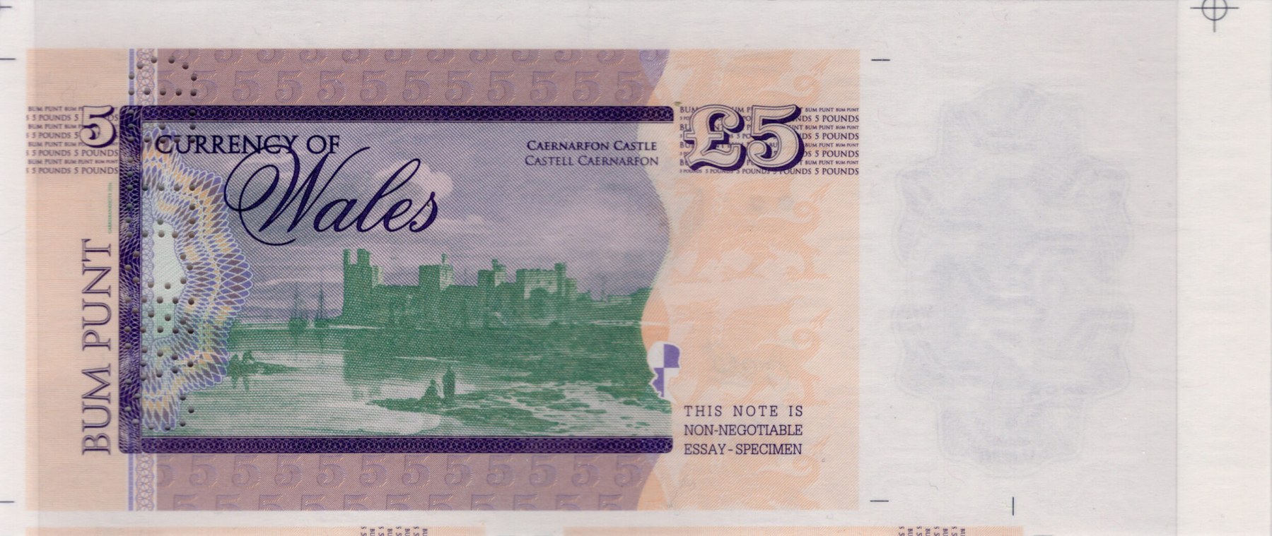 5 pounds Wales Diana - zadní strana