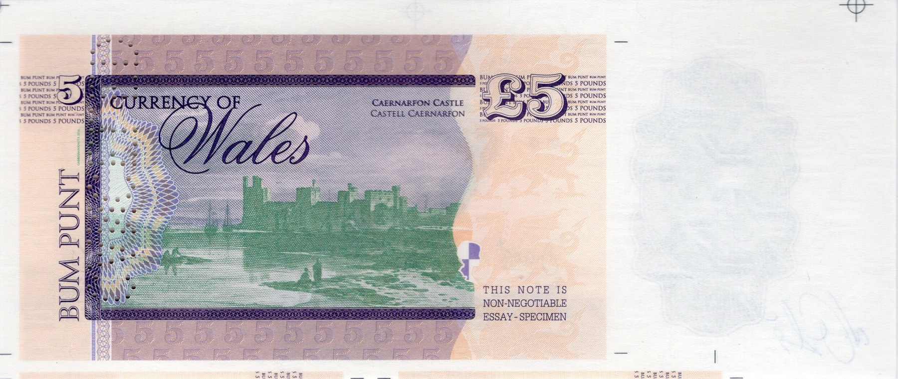 5 pounds Wales Diana - zadní strana
