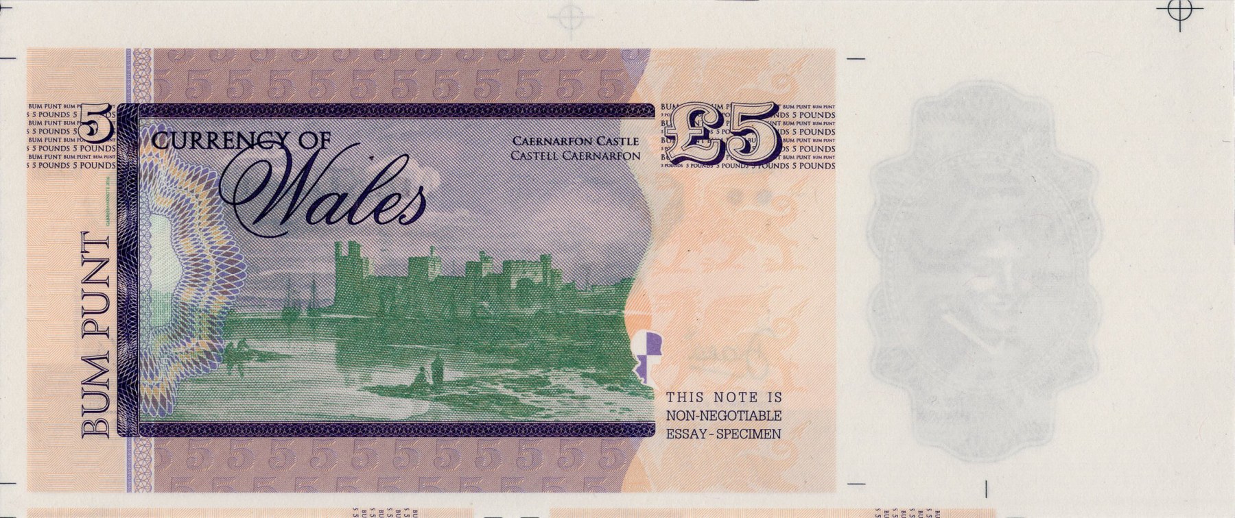 5 pounds Wales Diana - zadní strana