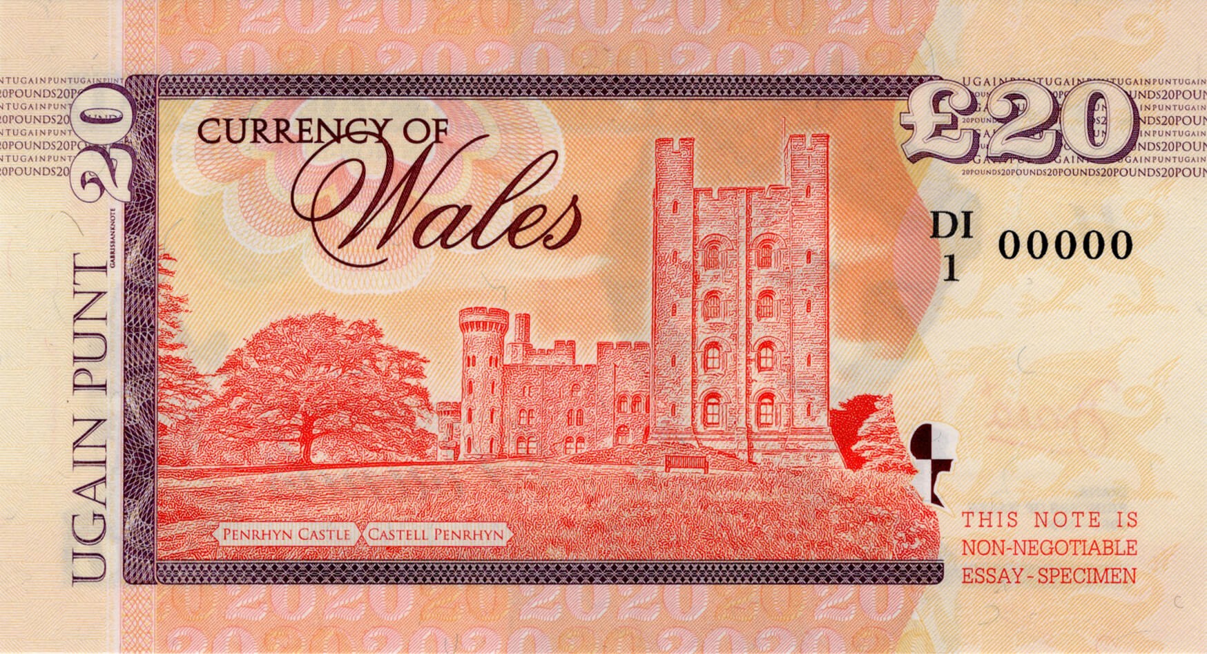 20 pounds Wales - zadní strana