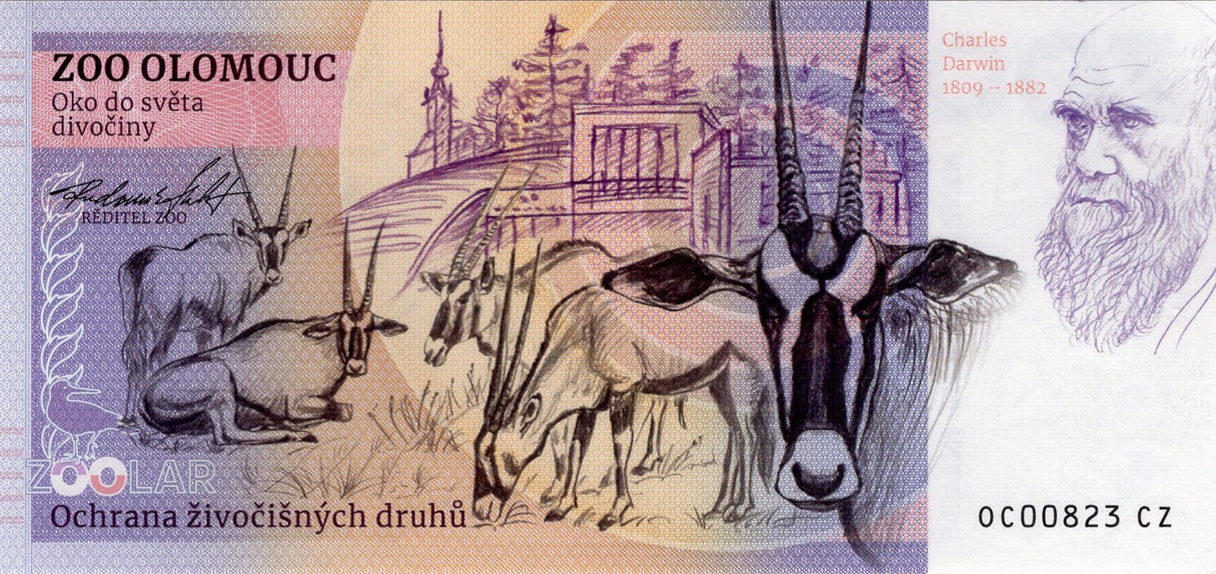 170 Panda červená - zadní strana