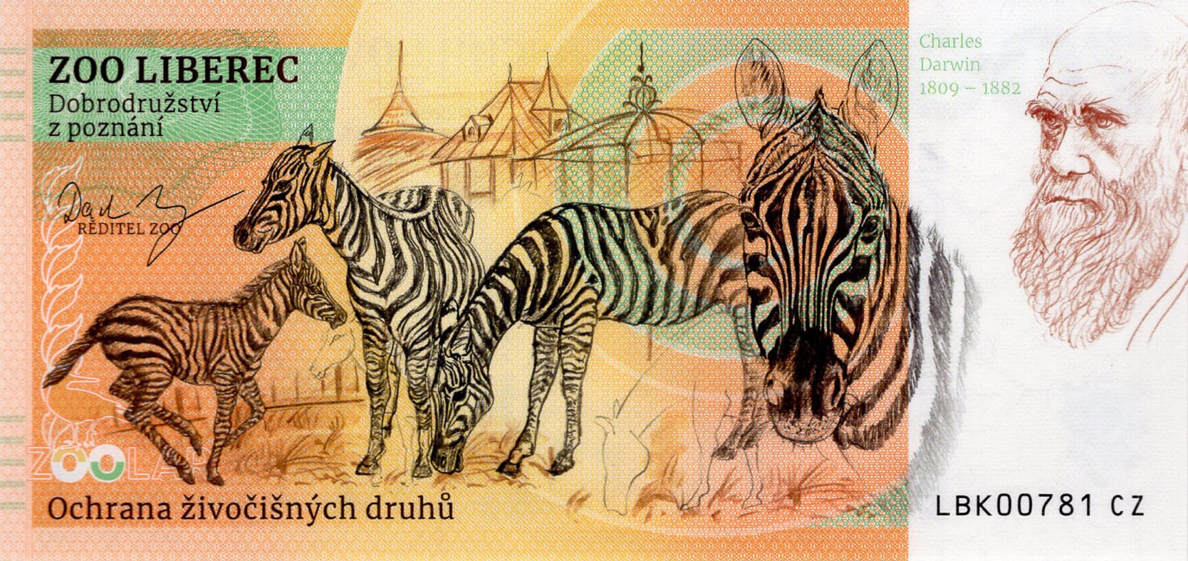 180 Žirafa Rothschildova - zadní strana