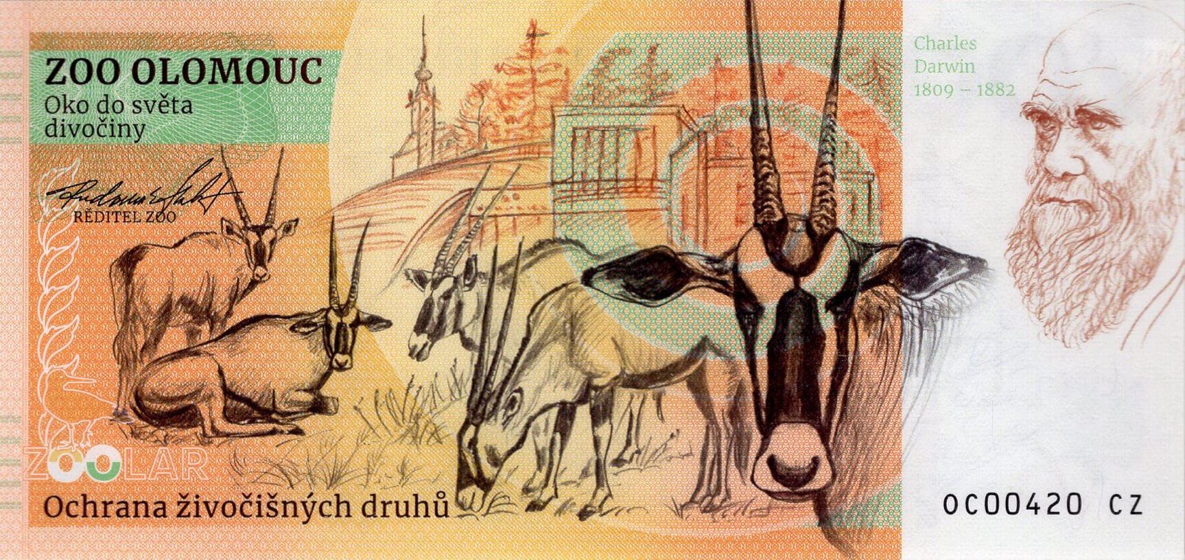 180 Žirafa Rothschildova - zadní strana