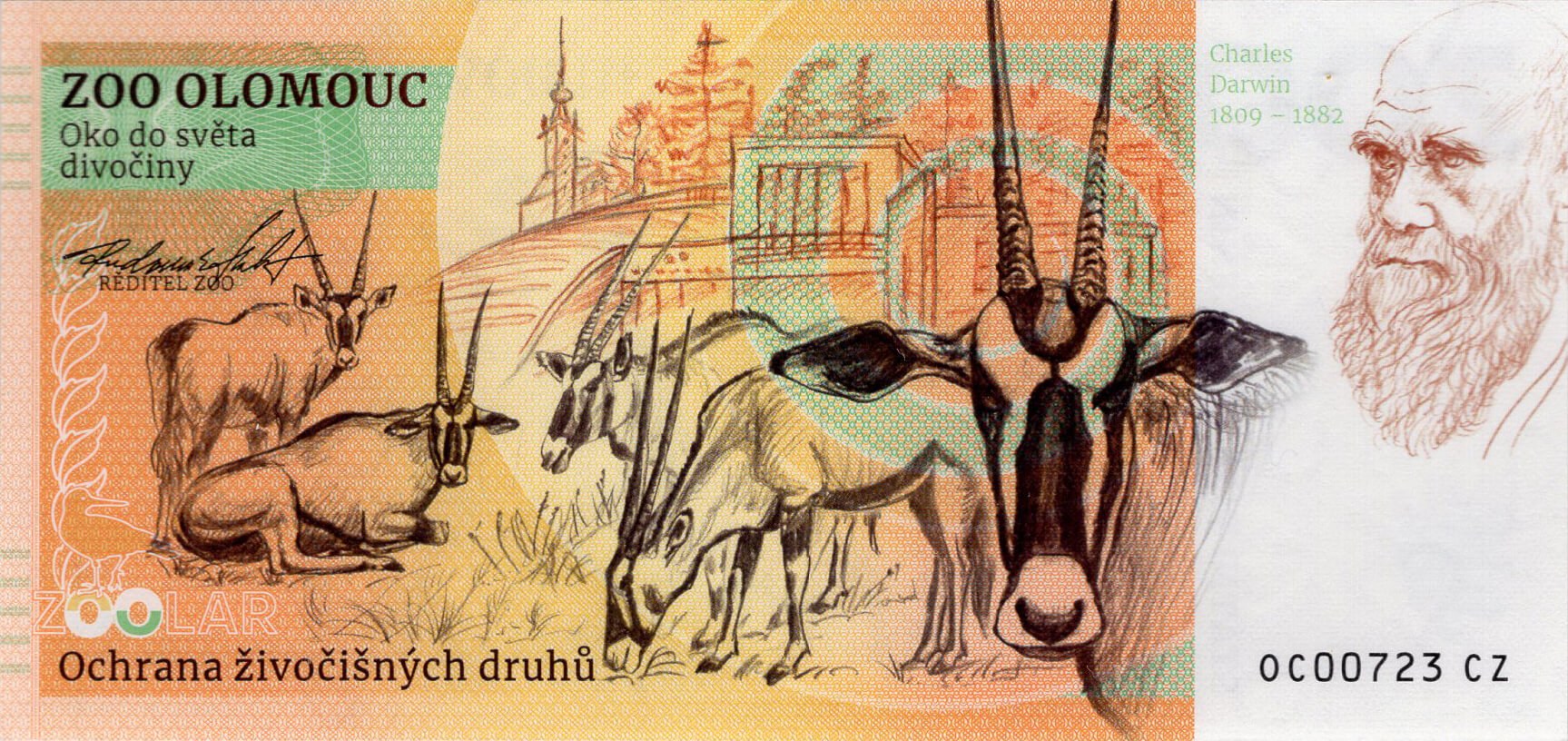 180 Žirafa Rothschildova - zadní strana