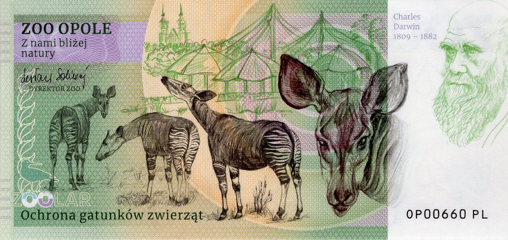 180 Žirafa Rothschildova - zadní strana