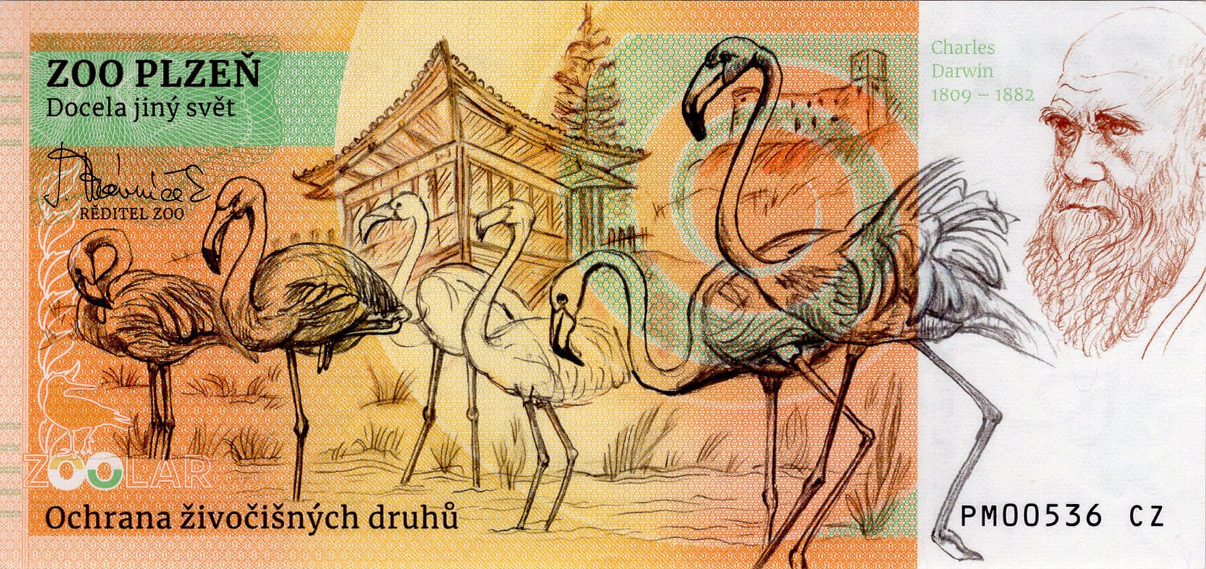 180 Žirafa Rothschildova - zadní strana
