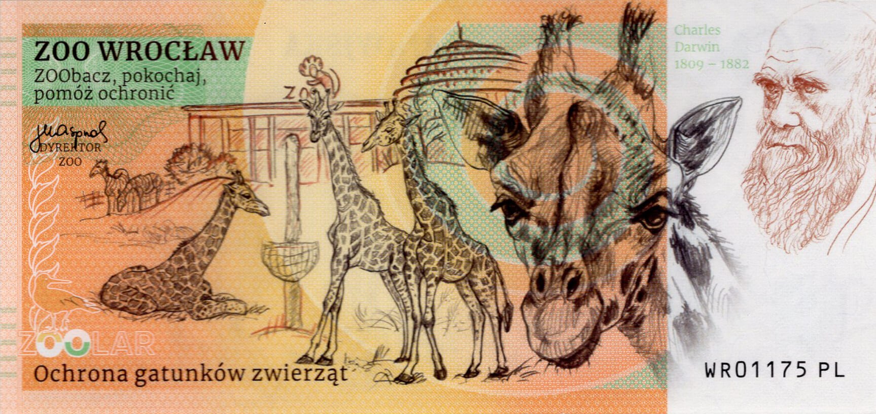 180 Žirafa Rothschildova - zadní strana