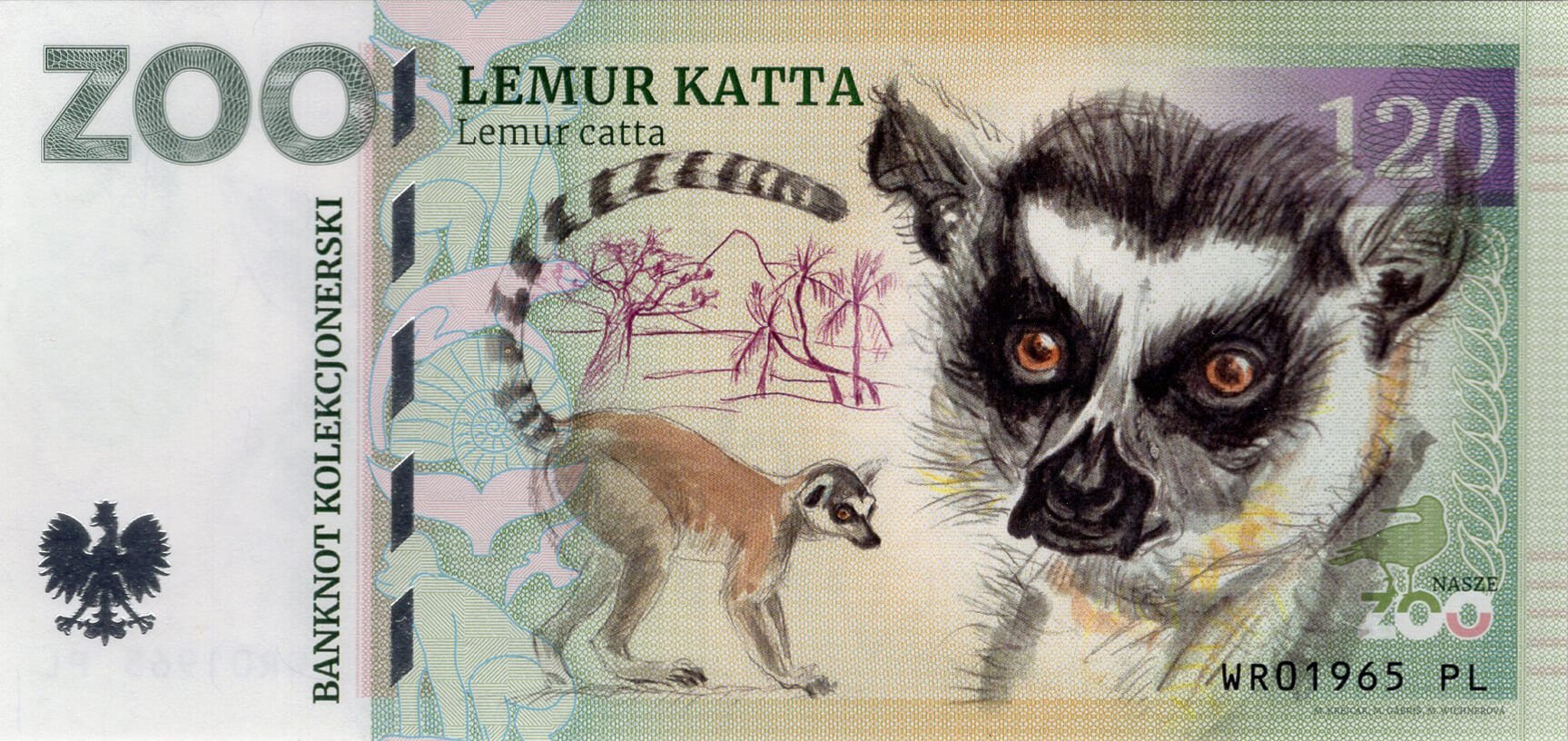 120 Lemur kata - přední strana