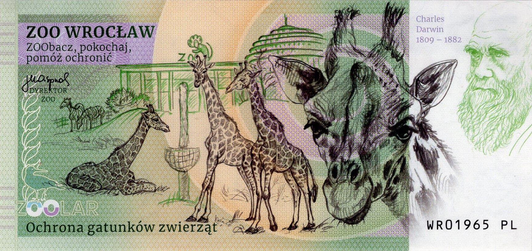 120 Lemur kata - zadní strana
