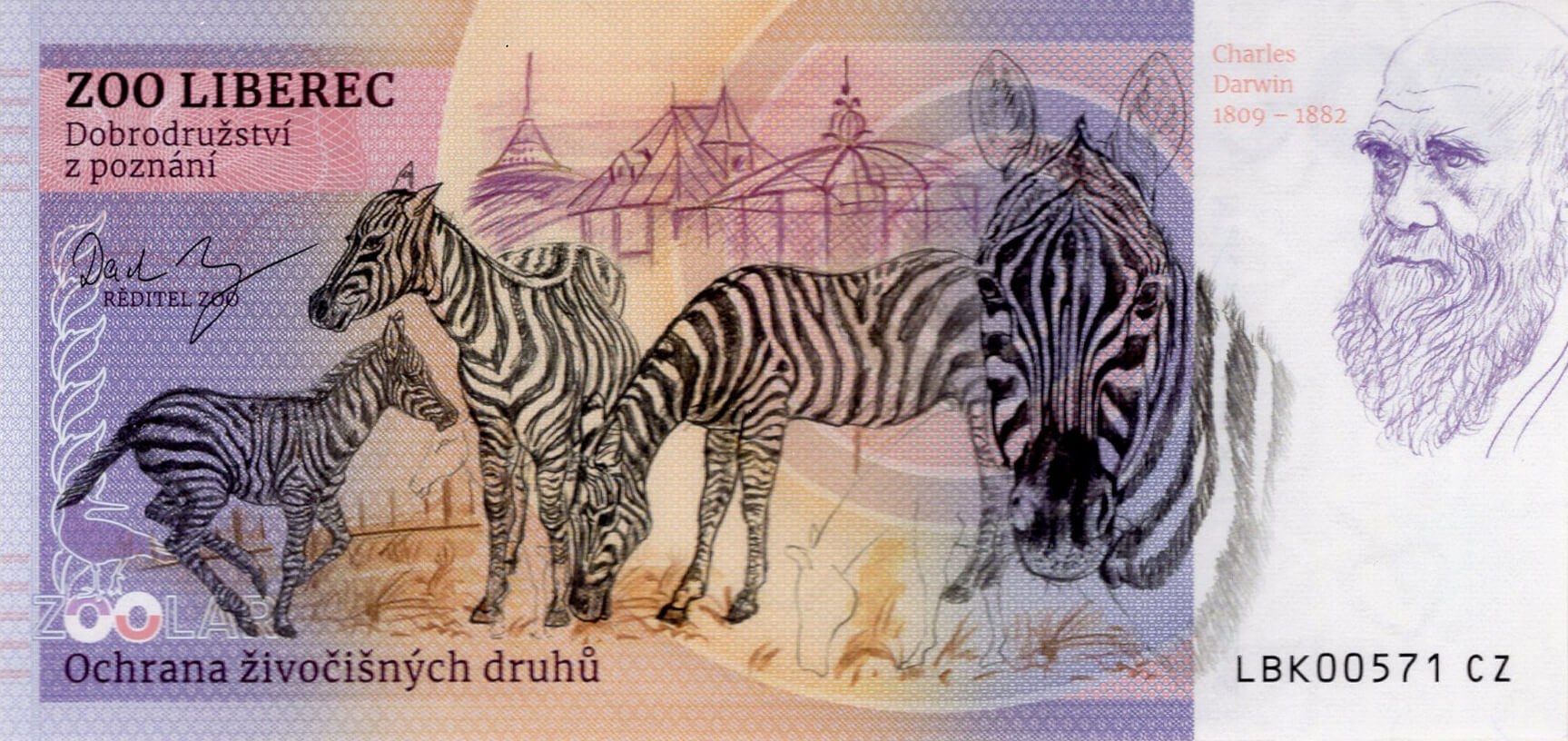 130 Lev berberský - zadní strana