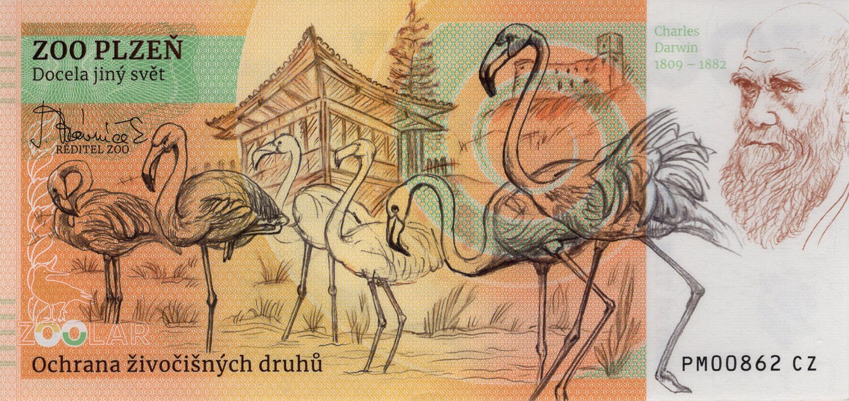 130 Lev berberský - zadní strana