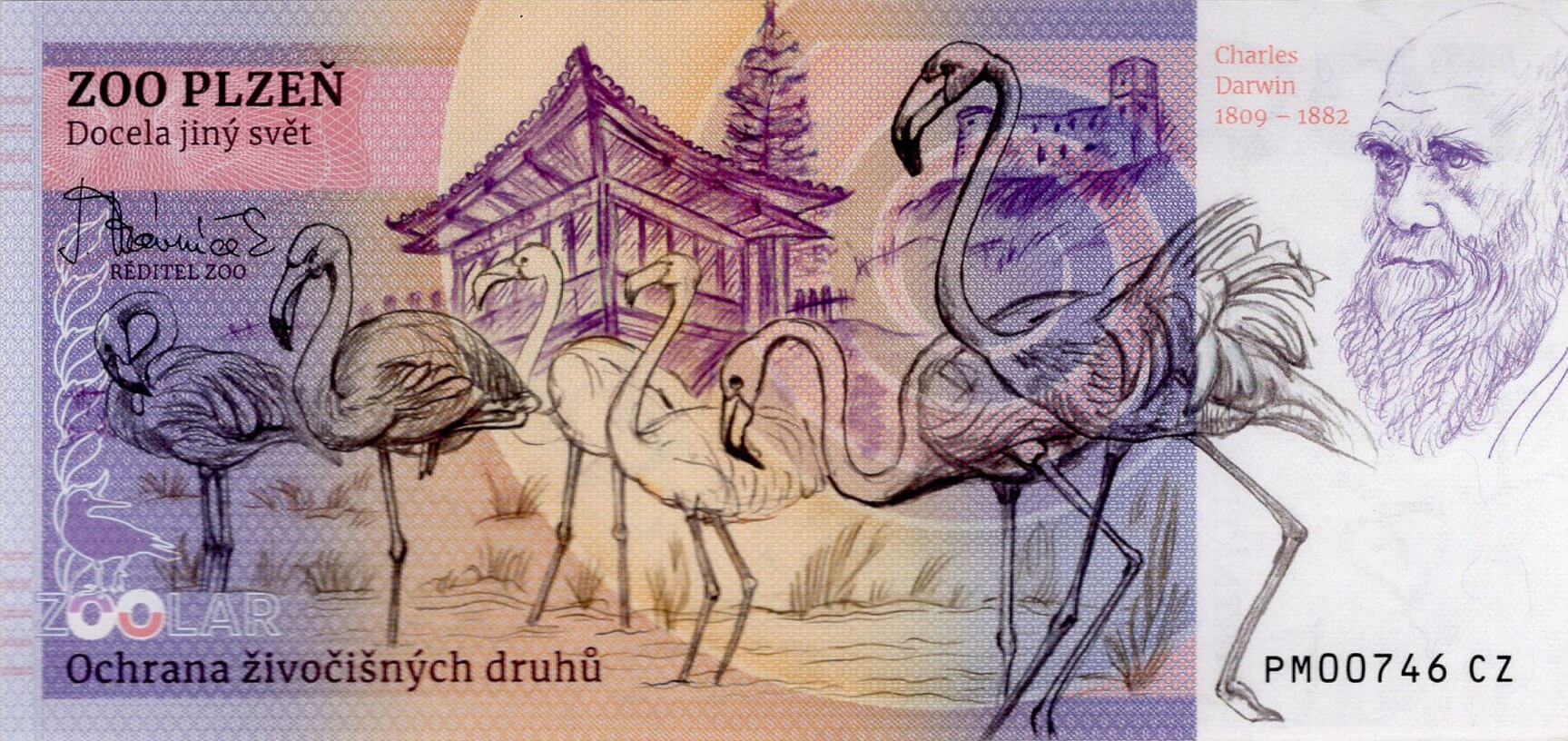 150 Tygr ussurijský - zadní strana
