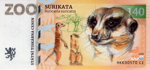140 Surikata vlnkavá