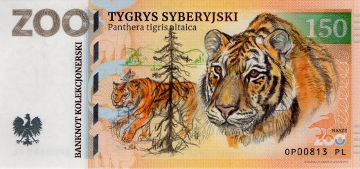 150 Tygr ussurijský