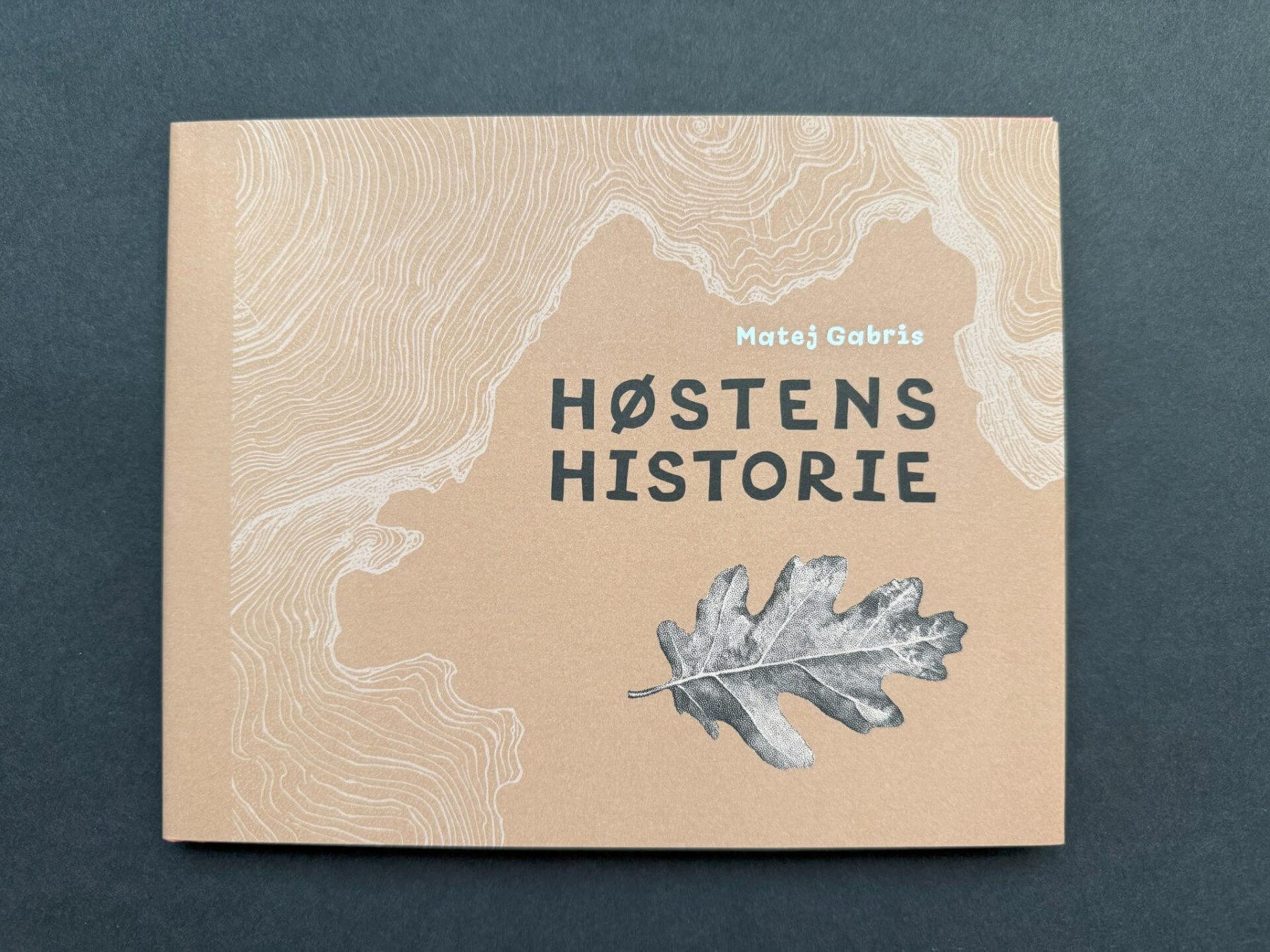 Kniha Høstens historie (NO) - přední strana