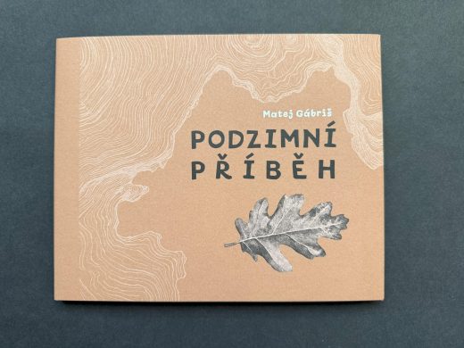 Kniha Podzimní příběh (CZ)